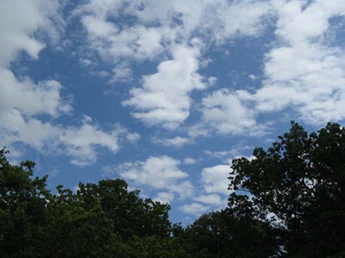 carolecowgill's profile picture. UEA Env graduate; accountant, amateur weather recorder, gardener, choir member, family historian, recent moth enthusiast