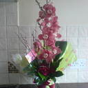 Jane Murphy - @janeymac13 - Twitter