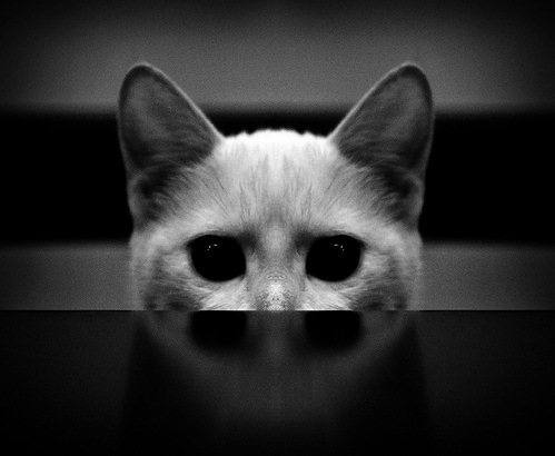 Киник, стоик, непримиримый идеалист. Я не наивна, это мой сознательный выбор - не считаться с реальностью.