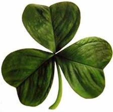 juventino,infermiere,musica heavy# hardrock, desideroso di #viaggi...ho l'#Irlanda nel cuore