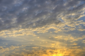 cvcowell's profile picture. human rights activist, animal welfare supporter, anti racism, fighting for justice and freedom.