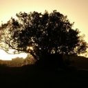 Vicky Bauer - @VickyBauer1 - Twitter