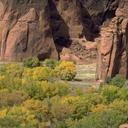 LauraDower - @LauraDower1 - Twitter