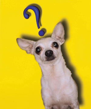 mentalblockdej's profile picture. 