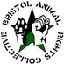 BARC (@bristolarc) Twitter profile photo