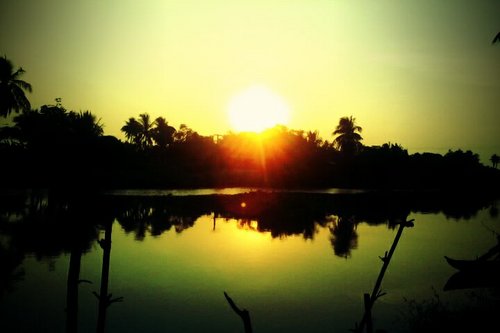 JitkunyaA's profile picture. 