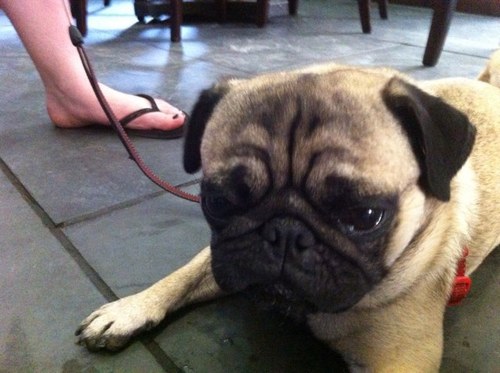 Andy82Simkins's profile picture. 