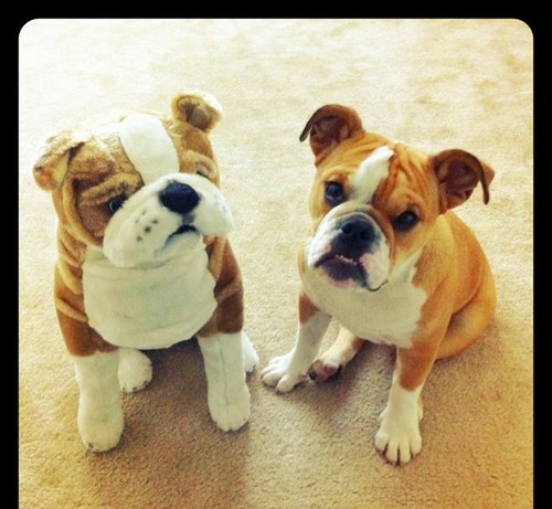 tlrickels's profile picture. 