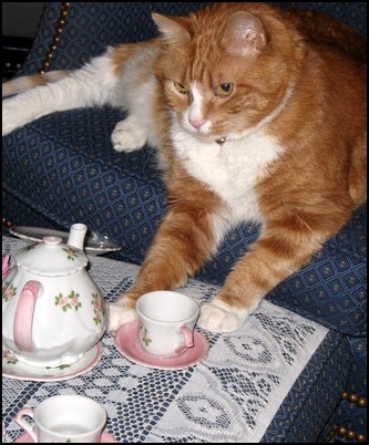 Chris_M_Budden's profile picture. 