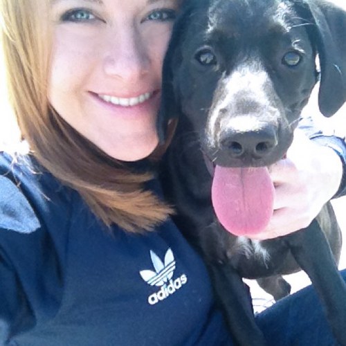 hippehead's profile picture. 