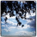 Amelia Silver - @Amsilverr - Twitter