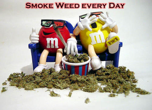 SUMMERoftheDOOB's profile picture. Str8 chillin. Summer 12'. Got no Mary get some.