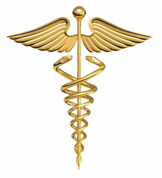 ofatstrainer's profile picture. 