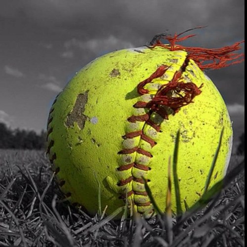 jprei19's profile picture. 