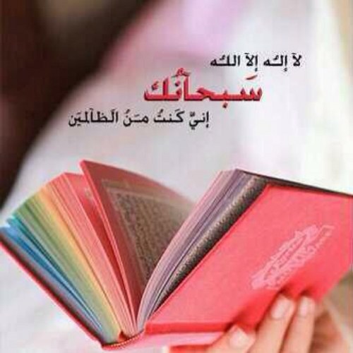 Mno88Com's profile picture. 