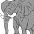 mayaelefante's profile image