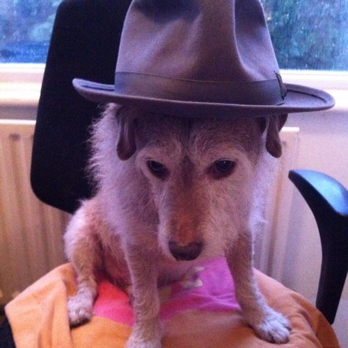 l_johnsen's profile picture. 