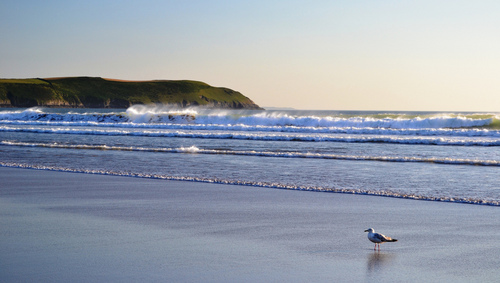 Woolacombe Bay local website providing visitors information on where to stay, where to eat and what to do in Woolacombe Bay