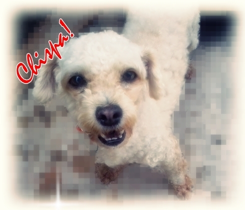te quiero mucho!
