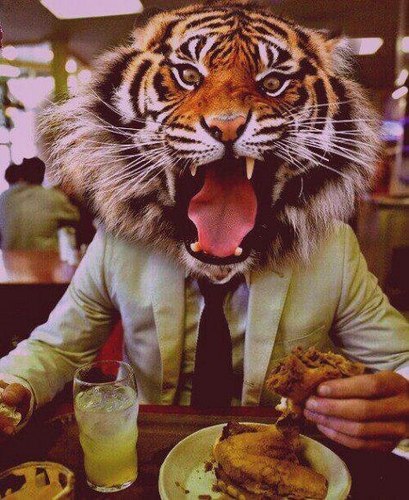 XotoX_X's profile picture. 