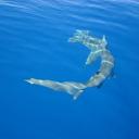 Rodney Rigby - @RodneyRigby - Twitter