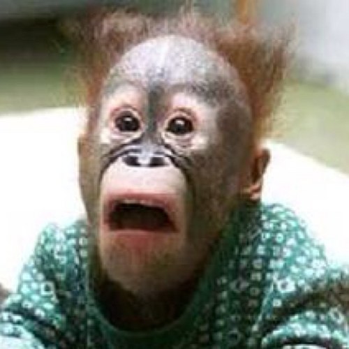 alanlvc's profile picture. If you think this picture looks bad, you should see me in real life!!!!!!