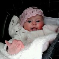 Grant Lorimer (@lorimergrant) 's Twitter Profile