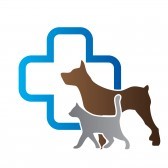 Progressive small animal veterinary clinic located in Orlando, FL. Working with you for healthier pets and happier homes. Surgery, medicine, boarding, etc.