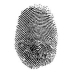 InfoSec, AppSec, embedded C, C++, C#, EFTPOS, EMV, CEH, CHFI, CISSP, soccer, homebrewing, son, brother, husband, father...