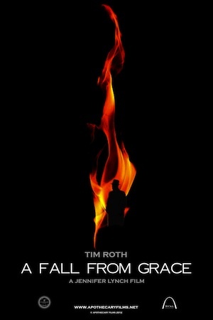 A Fall From Grace  Profile