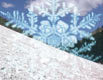 neve Profile