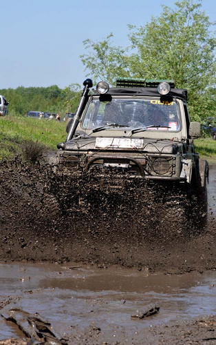 stenugget's profile picture. 