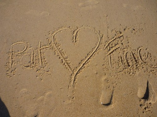 FineCourt's profile picture. 