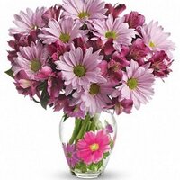 Everett Flowers Inc. - @EverettFlowersI Twitter Profile Photo