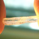 john bachmann - @4merMETHJUNKIE - Twitter