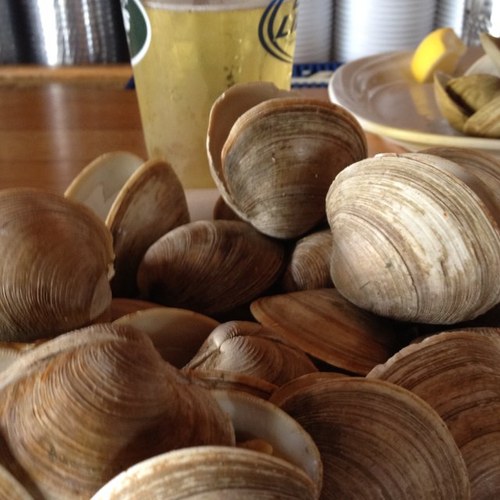 kubotaking's profile picture. 