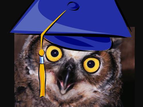 Psychology professor. Interests: skepticism & debunking pseudoscience.
