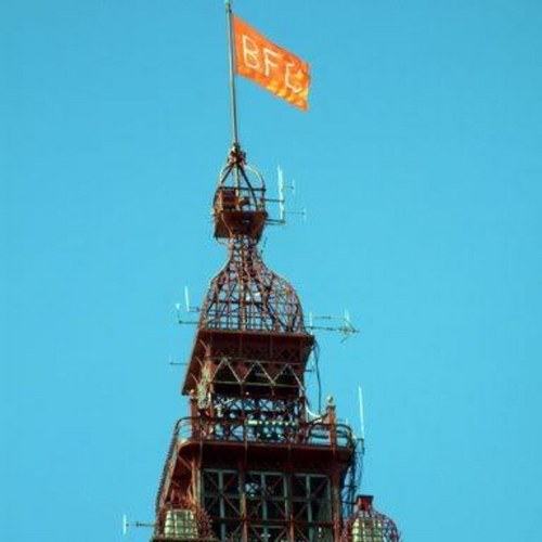 tangerine_nat's profile picture. 