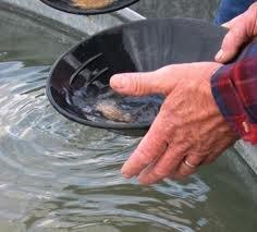 Gold Panning Hobby