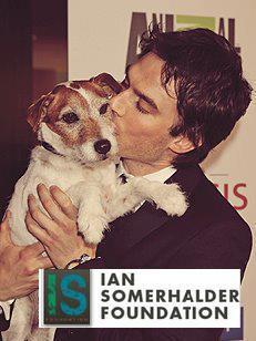 Account totally devoted to @IS_Foundation & @iansomerhalder - FOR A GREENER PLANET, ANIMALS & KIDS PROTECTION. #StopBullyingCampaign #StopChildAbuse