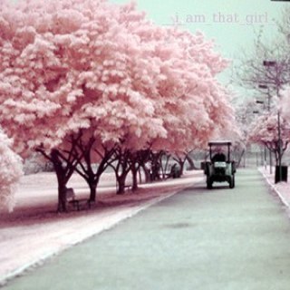 peysenbieber's profile picture. 