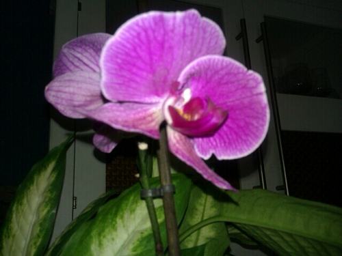 rePAUblica's profile picture. 