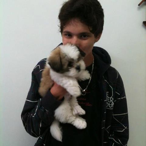 Fofoleete do @Liinhares ♥ 31/05/12 ♥ Dona :  @EloaDirectioner *-*