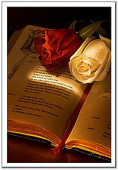 W_A_1438's profile picture. اللهم اجعل أمي وأبي ، من الضاحكين المستبشرين الشاربين من حوض نبيك ، والمحظوظين بشفاعتك يا أرحم الراحمين. رحمهما الله وغفرلهم واسكنهم الفردوس الاعلى، دعواتكم لهم