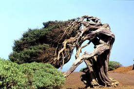 PatClaudi's profile picture. Nunca sere perfecta pero estoy siempre dispuesta. La vida se hizo a prueba y error.