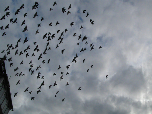 luiisburgue's profile picture. Las mujeres ven mi apariencia y emprenden viaje a lugares lejanos y horribles