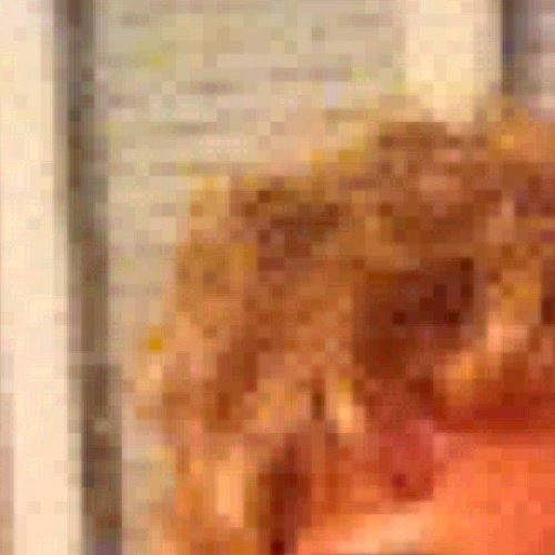 Lisi9002's profile picture. 