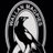 WallanFNC's profile image