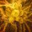bubbakush17's profile image