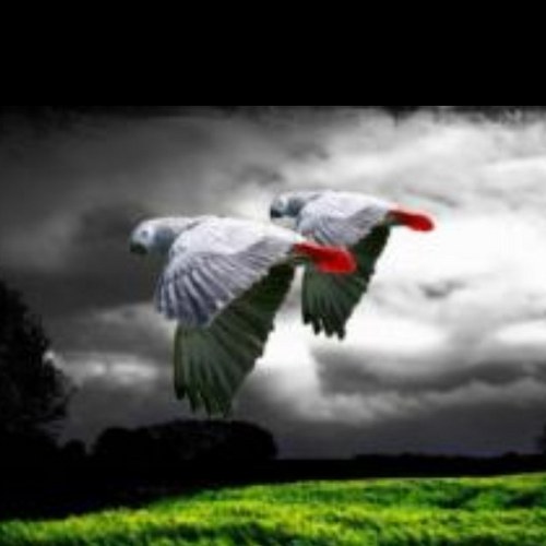 hayhaaaaat's profile picture. 